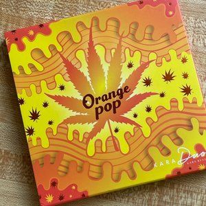 KARA BEAUTY ORANGE POP PALETTE!